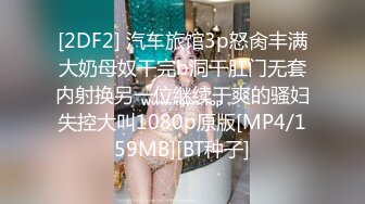 [2DF2] 汽车旅馆3p怒肏丰满大奶母奴干完b洞干肛门无套内射换另一位继续干爽的骚妇失控大叫1080p原版[MP4/159MB][BT种子]