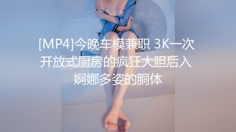 [MP4]今晚车模兼职 3K一次 开放式厨房的疯狂大胆后入 婀娜多姿的胴体