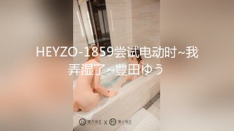 HEYZO-1859尝试电动时~我弄湿了~豊田ゆう