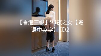 【香港三级】93夜之女【粤语中英字】CD2