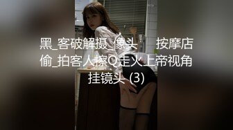 性感轻熟女寻欢记