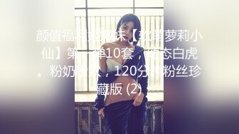 新人小哥《嫖娼代言人》约炮颜值不错的卖淫女可惜没有射出来