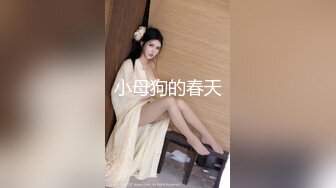 小母狗的春天