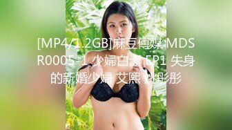 新人探花肥哥酒店偷拍3000块约的极品兼职妹穿上女仆装玩