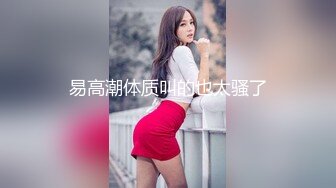 究极反差骚婊！推特极品女神气质御姐【粉红色海豚】最新订阅，有钱人的性玩物无套啪啪捣白浆 (5)