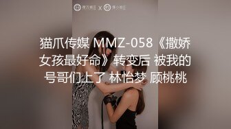 抖S麥娜會長大人被抖M筆記支配了 2