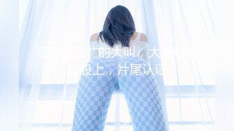 [MP4]涩会传媒 SH-013 《女优面试日记》女神初试爱 激情伴白带 白心语