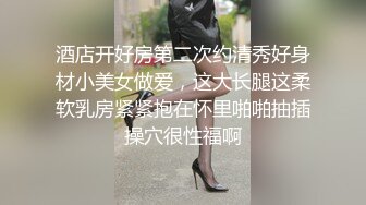 车震长腿大美女