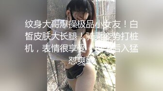 [MP4/ 1.12G] 复式别墅楼梯上大战黄发妹子，双飞大战，换着来玩淫乱极了