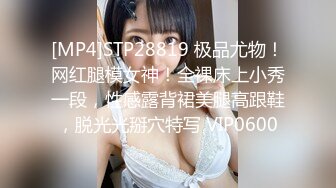 [MP4]STP26870 上门服务 漂亮小姐姐开房&nbsp;&nbsp;肤白胸大&nbsp;&nbsp;享受异性抚慰好爽 美穴暴漏淫水渗出 VIP0600