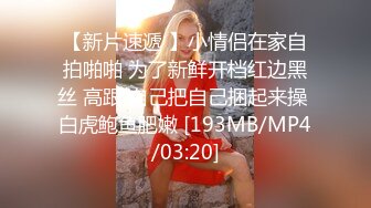 BJ艺东230811-2