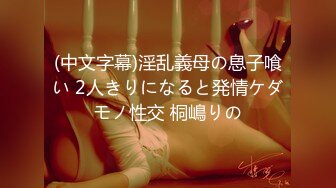 [ANZD-049] 公衆便所の個室でSEXするのが好きなド変態人妻 れいな