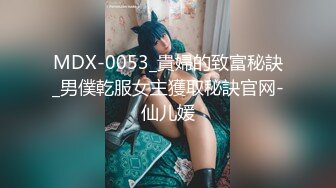 MDX-0053_貴婦的致富秘訣_男僕乾服女主獲取秘訣官网-仙儿媛