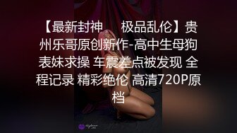 一种让气质御姐【雅思】浑身舒服的K9架禁锢模式，一上去直接上干货，P机、TK、滚针