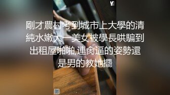 【最新流出破解泄密】私房十二月最新流出破解摄像头家庭各种夫妻啪啪啪11 操孕妇性爱篇 温柔侧入后插啪啪 (5)