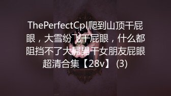 ThePerfectCpl爬到山顶干屁眼，大雪纷飞干屁眼，什么都阻挡不了大屌男干女朋友屁眼超清合集【28v】 (3)