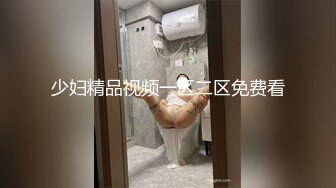 少妇精品视频一区二区免费看