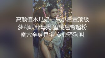 专探楼凤极品第一视角探花，上门快餐大奶少妇，不给舔奶直接开操，翘起大白屁股第一视角后入撞击