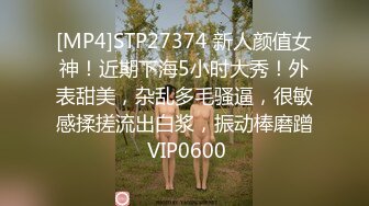 [MP4]双飞大胸小母狗和超温柔台湾妹双姝争艳尽享齐人之福