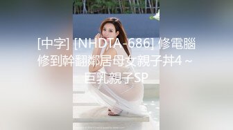 [中字] [NHDTA-686] 修電腦修到幹翻鄰居母女親子丼4～巨乳親子SP