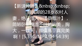 如此佳人 值得试驾 婕咪-日租女友遊樂趣[212P+2V/1.4G]