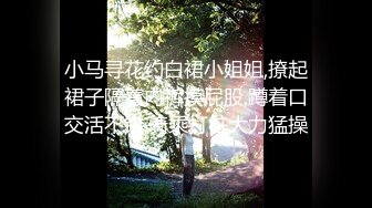 无法被满足的美少妇 还没开始操 就开始发骚