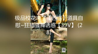 极品福利姬美少女  发条少女 -迷之呆梨  压缩版视频福利合集 [228V] (108)