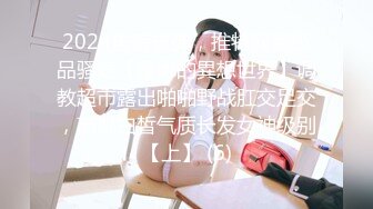 2024重磅核弹，推特网黄极品骚婊【露娜的異想世界】调教超市露出啪啪野战肛交足交，高挑白皙气质长发女神级别【上】 (6)