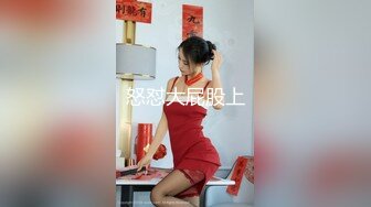 极品美女老婆的3p之旅