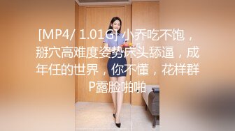 主题酒店大学生小情侣开房，多次光顾被偷拍，貌似妹子还是处女，摸摸搞搞就是不给操，小伙急的隔着内裤磨蹭，只能掏出奶子揉捏