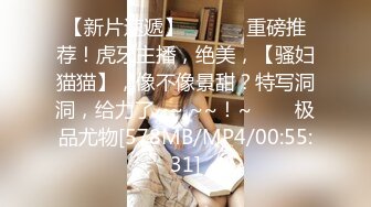 刚结婚的欲女少妇，经典后入加骑乘位视角，淫荡至极