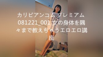 [HJ-026] 隠撮 女教師おしっこ 3 12時限目