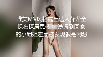 唯美MV风格露出达人萍萍全裸夜探居民楼 中途遇到回家的小姐姐差点被发现很是刺激