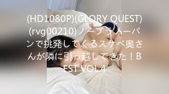 (HD1080P)(GLORY QUEST)(rvg00210)ノーブラノーパンで挑発してくるスケベ奥さんが隣に引っ越してきた！BEST VOL.4