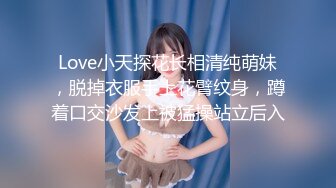 Love小天探花长相清纯萌妹，脱掉衣服手上花臂纹身，蹲着口交沙发上被猛操站立后入