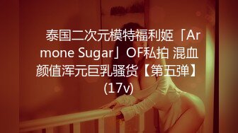 ✨泰国二次元模特福利姬「Armone Sugar」OF私拍 混血颜值浑元巨乳骚货【第五弹】(17v)