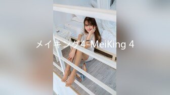 メイキング4-MeiKing 4